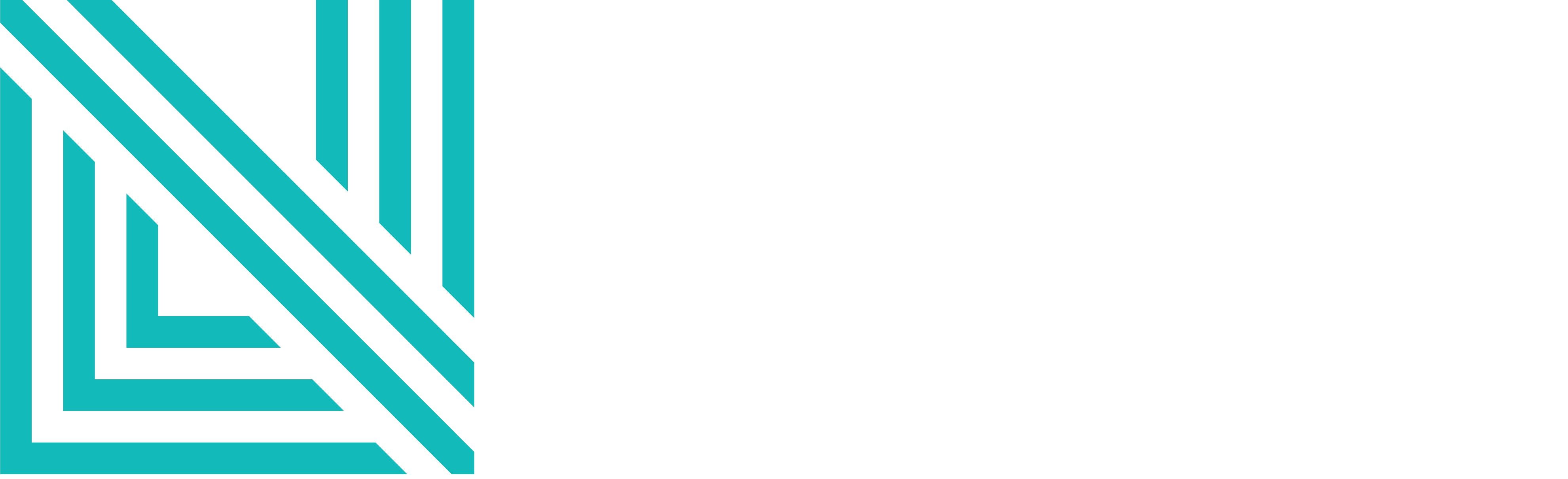 NL_Logomark_Rev_CMYK