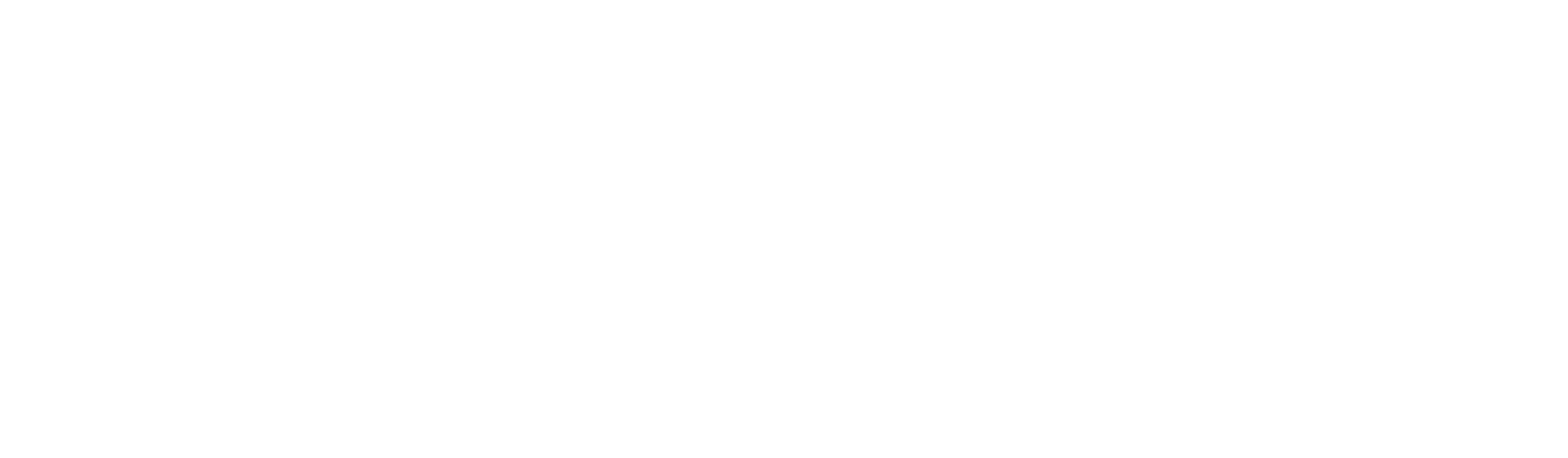 SKOPE_Logo_White
