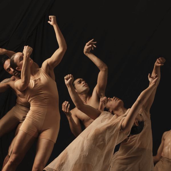 Black Grace 25.11 - 26.11.2025