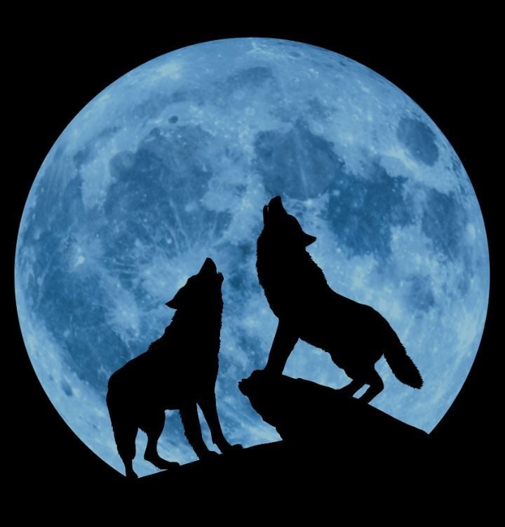 Creedence Clearwater Collective 29.08.2026