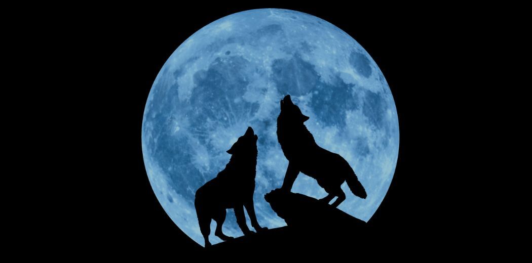 Creedence Clearwater Collective