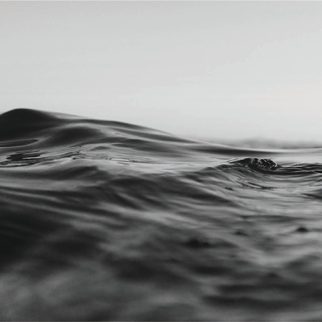 NZO The Pearl Fishers 14.10 - 18.10.2026