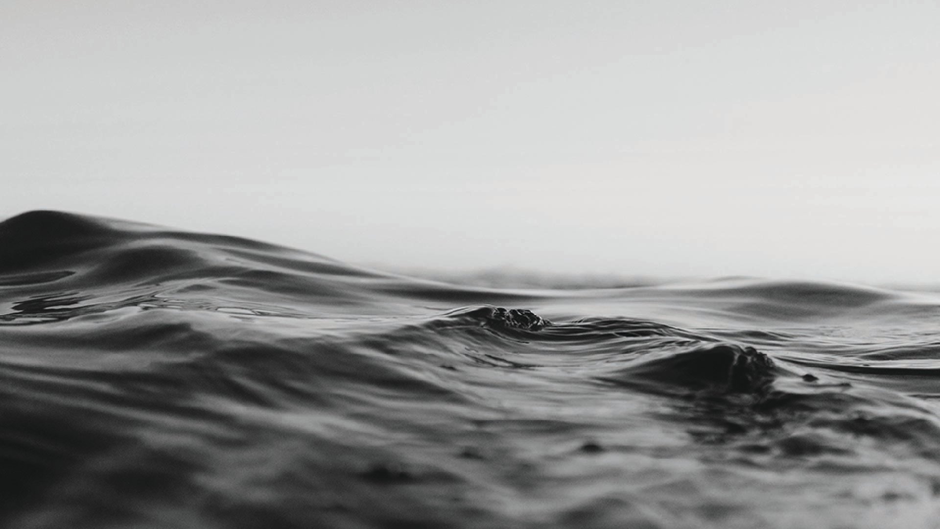 NZO_The Pearl Fishers