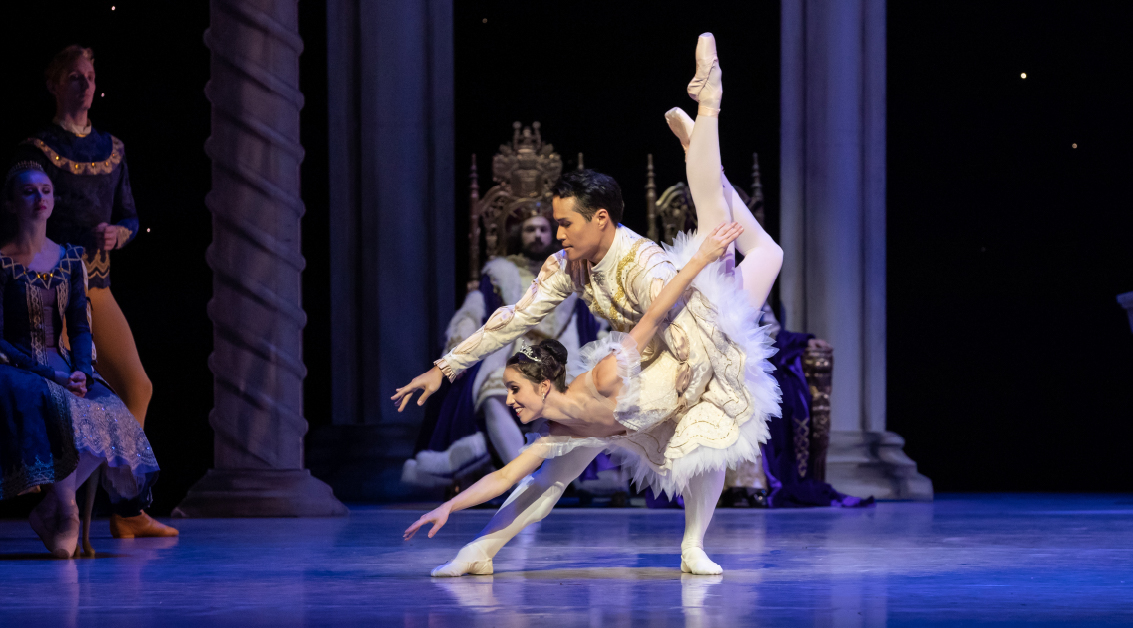 The Sleeping Beauty_RNZB