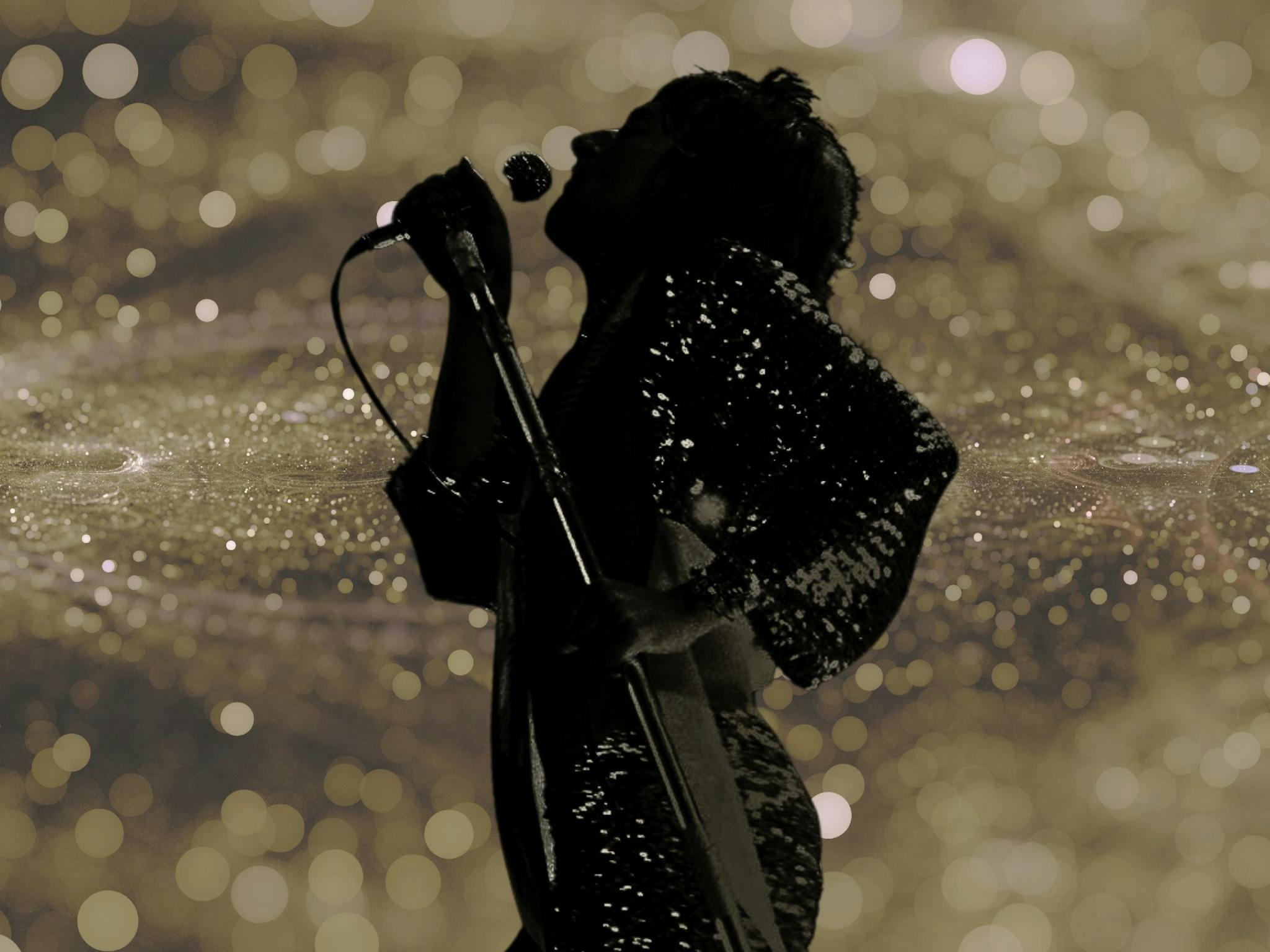 The UK Rod Stewart Show
